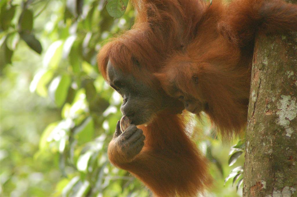 508455774_24627229363532645_1034851343238992561_n