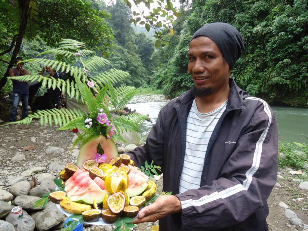 Jungle 40